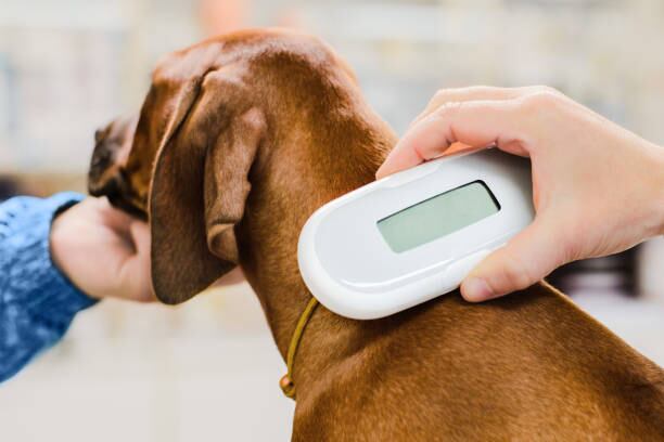 Wakulla Animal Group Expands Pet Microchip Scanner Network