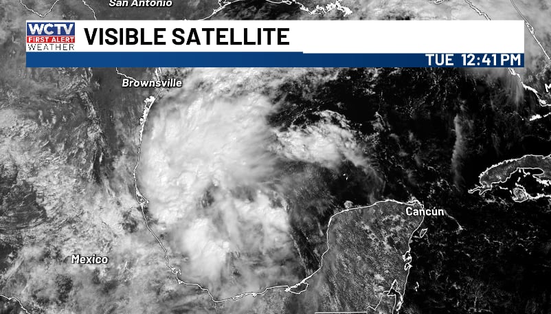 Tropical development possible in Gulf as system organises