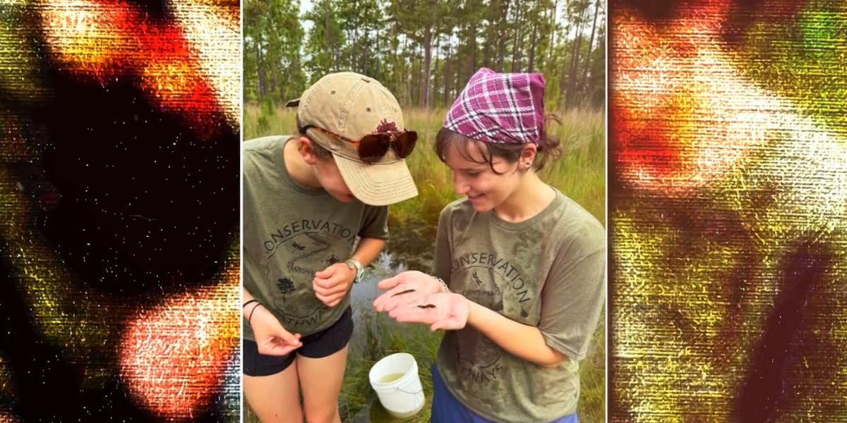 ‘Protect everything that we have’: Conservation Pathways supporting future environmental leaders