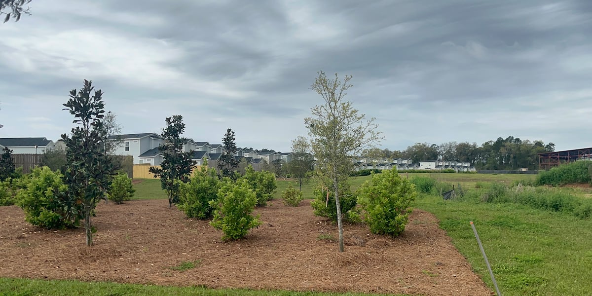 Tallahassee Commission backs off pursuing eminent domain in controversial Circle K dispute