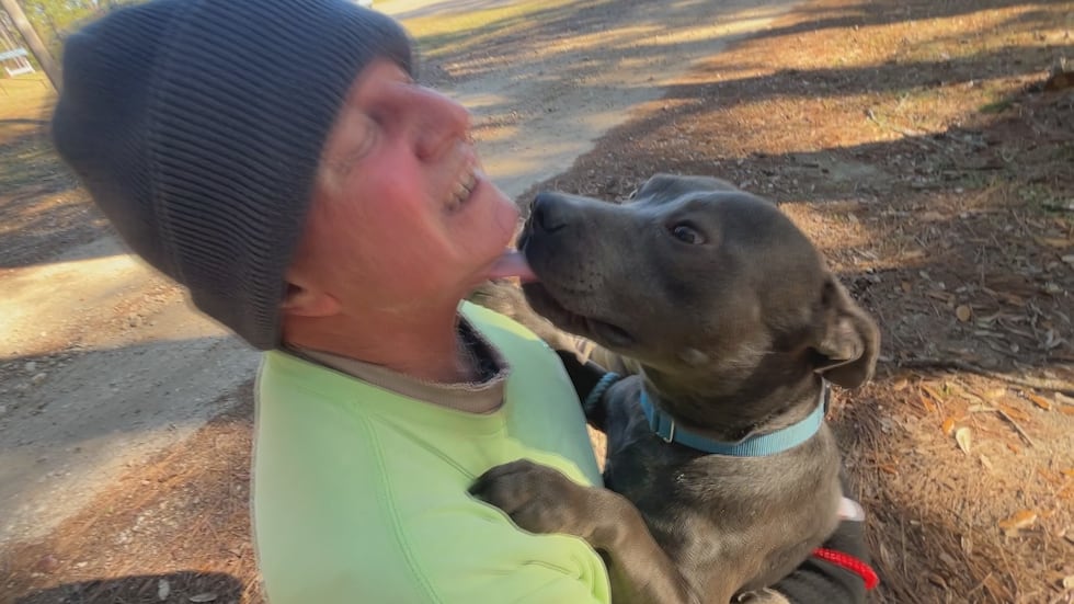 Klaus will shower you with doggie kisses and wag his tail at warp speed!