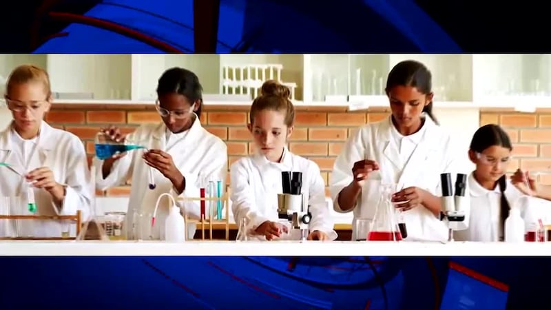 Sanitation and disinfectants have been an especially big deal since the start of the COVID-19...