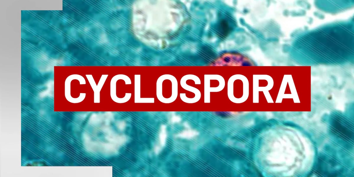 Cyclospora cases confirmed in Big Bend as statewide totals increase - WCTV