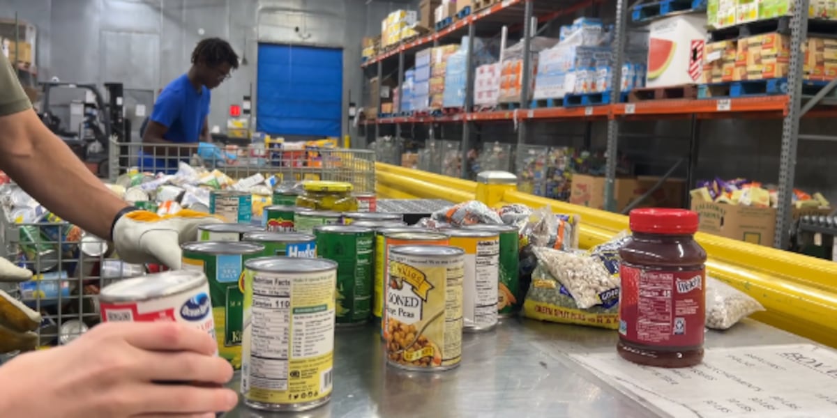 Second Harvest facing ongoing need for food amid partial SNAP Second Harvest facing ongoing need for food amid partial SNAP