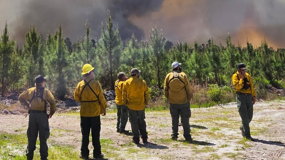 This photo provided by the Georgia Department of Natural Resources shows firefighters...