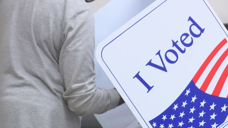 Gabe Sterling, chief operating officer for Secretary of State Brad Raffensperger, said...