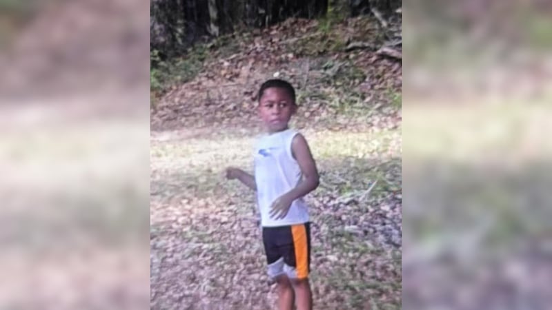 Officials searching for non-verbal autistic child in Thomas County