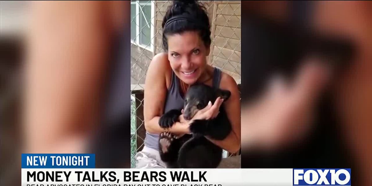 52 Bears Died in Florida’s Hunt—But Hunters Were Paid $2,000 to Stay Home. Is This How Conservation Works?