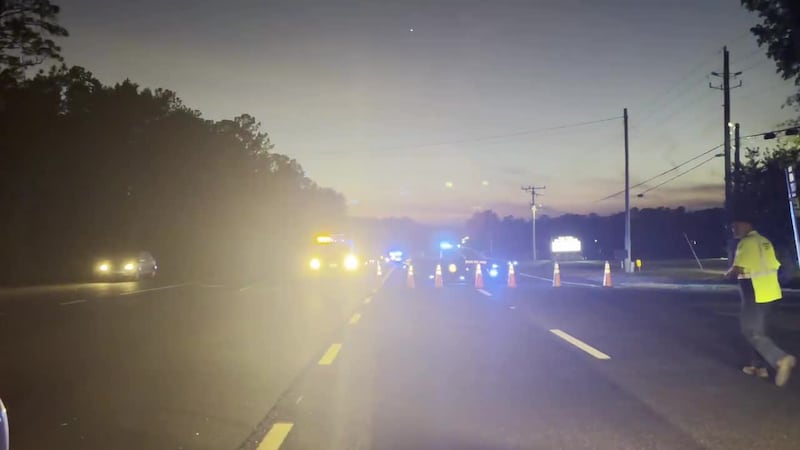 A pedestrian is dead after being struck by a vehicle on Apalachee Parkway, according to the...