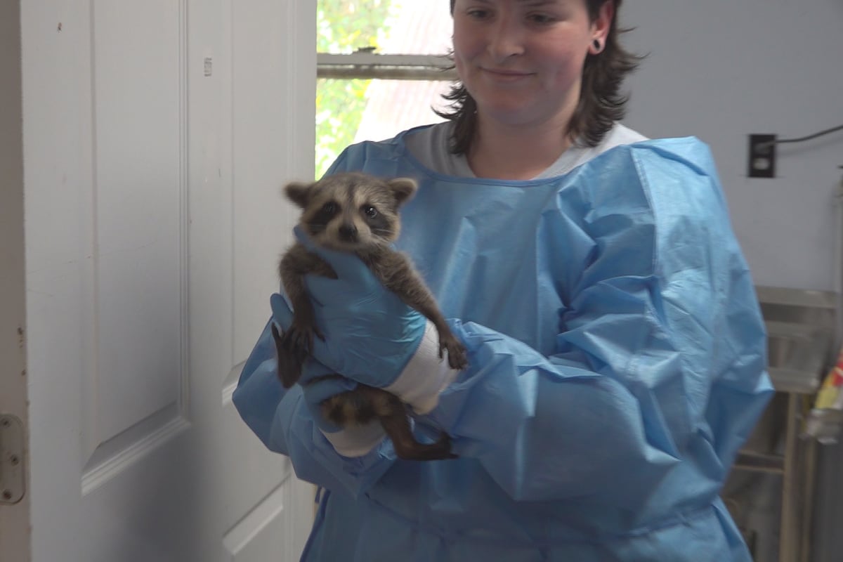 St. Francis Wildlife Association asking for donations to ...