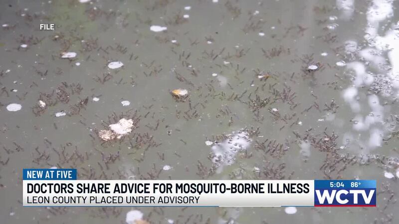 LIVESTREAM: Donna Adelson appears in court for the first time since her ...